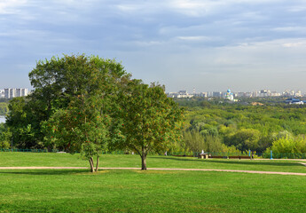 Park 