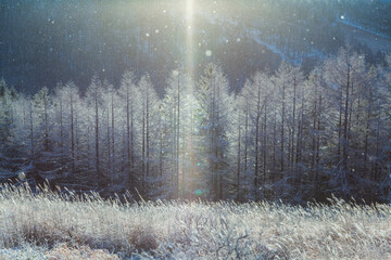 霧ヶ峰高原サンピラー