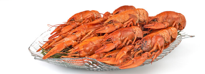 Crayfish-boiled river crayfish on a white background.Space for text.