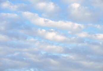The clouds in the sky. White fluffy clouds on a blue background