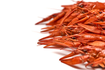 Crayfish-boiled river crayfish on a white background.Space for text.