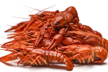 Crayfish-boiled river crayfish on a white background.Space for text.