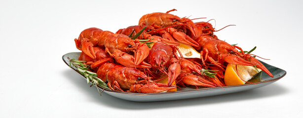Crayfish-boiled river crayfish on a white background.Space for text.