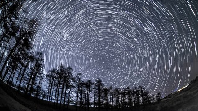 高ボッチ高原カラ松林と冬の星空Timelapse