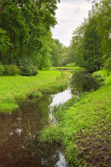A stream in a summer Park. Picturesque green banks covered with grass and trees