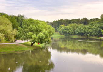 Pond in the summer Park. Picturesque green banks covered with grass and trees