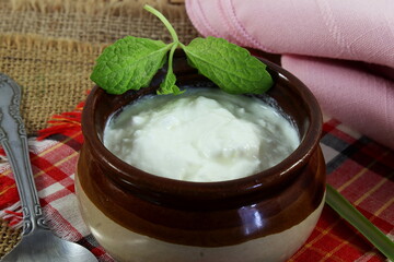 homemade indian dahi or curd,yogurt,sour cream in pot with spoon isolated