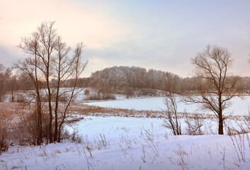 Winter field in the morning. Bare trees among drifts of snow, forest on the horizon