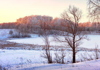 Winter field in the morning. Bare trees among drifts of snow, forest on the horizon