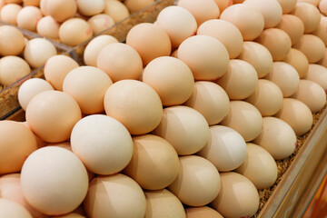 Eggs on sale in supermarkets