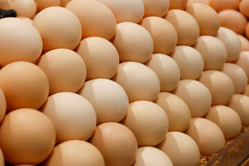 Eggs on sale in supermarkets