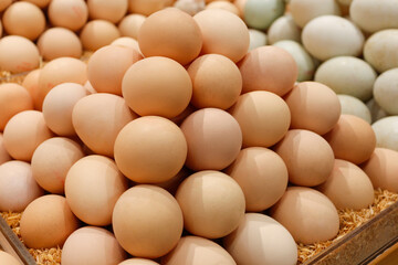 Eggs on sale in supermarkets