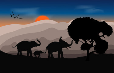Fototapeta na wymiar silhouette image Black elephant with Elephant mahout walking at the forest with mountain and sunset background Evening light vector Illustration