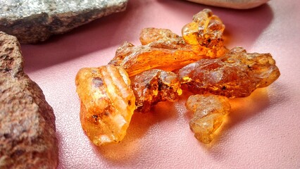Resin sap is a natural sap from the Agathis borneensis tree, yellow light from central java, Indonesia. Isolated with scistmica, napal and chert, marl from geological collection roks, pink background.