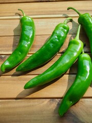 신선한 유기농 녹색고추
