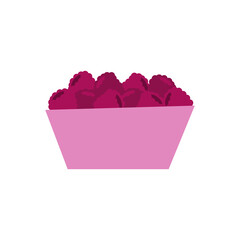 ripe raspberries in a plate. flat isolated