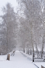 Alley on the embankment in siberia in winter