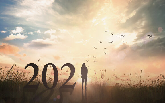 Success woman of new year 2021 concept: Silhouette woman with text for 2021 against on meadow sunset background