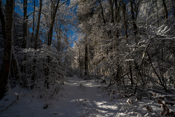 Winterlandschaft auf dem Russberg bei
 Tuttlingen