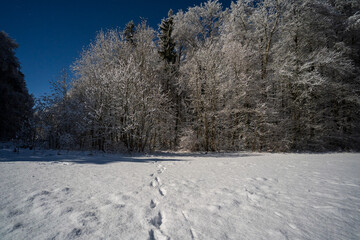 Winterlandschaft auf dem Russberg bei
 Tuttlingen