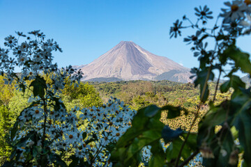landscape with plants and the Colima volcano in the background, blue sky