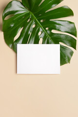 Fototapeta na wymiar Blank paper sheet and green leaf on color background