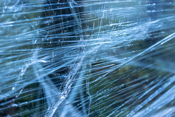 Plastic wrap on trees in the forest