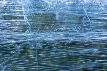 Plastic wrap on trees in the forest