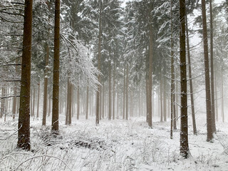 Oberes Donautal im Winter / Bei Beuron