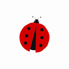 Funny ladybug on white background.