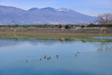 東御市 冬の明神池