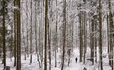 Oberes Donautal im Winter / Bei Beuron