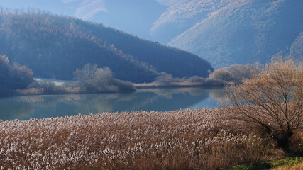 autumn landscape, little lake with common reed