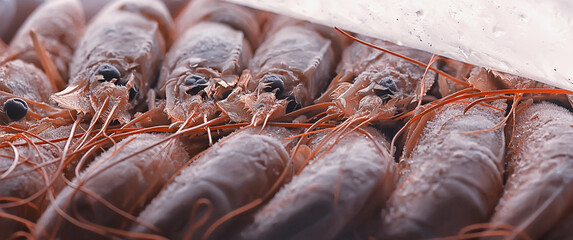 frozen king prawns, macro background seafood, fresh red prawns