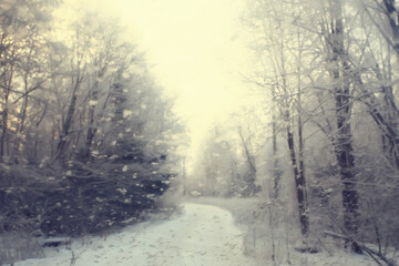 winter forest landscape covered with snow, december christmas nature white background