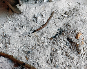 The ashes or coals from the burnt fire