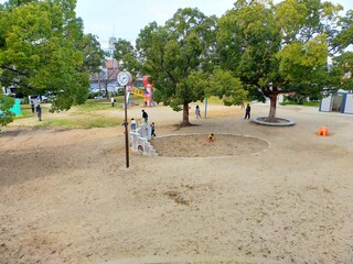 遊具の上から見下ろした公園の風景