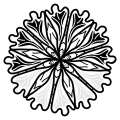 Fototapeta premium A linear design of flower icon, editable vector 