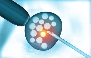 In vitro fertilization of an egg cell. 3d illustration.