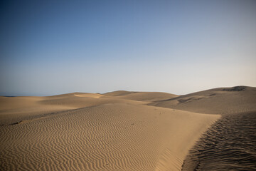 Fototapeta na wymiar Sand dunes of Maspalomas in Gran Canaria