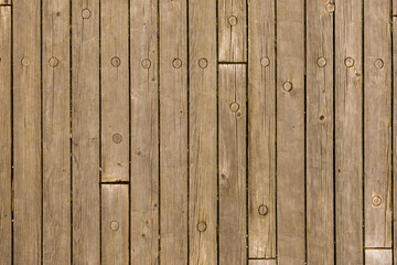 Fototapeta premium Wooden plank. Natural texture for background.