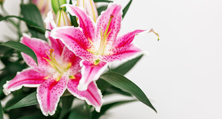 Lily flowers greeting card on heart shaped bokeh background with copy space. Floral banner. Valentines day concept or mothers day.