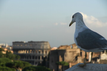 Travel to Rome , Italy