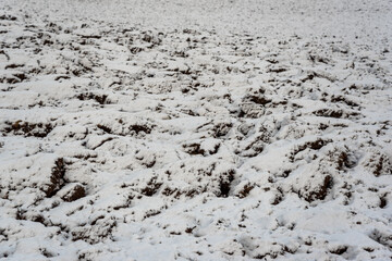 Field under snow.