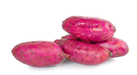 Japanese Sweet Potato an isolated on white background.