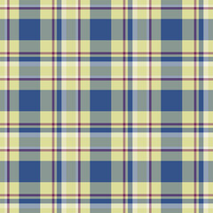 Plaid seamless pattern. Vector background of textile ornament. Flat fabric design.