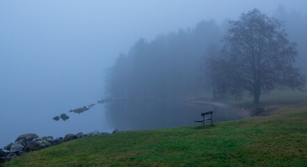 Misty view in the morning