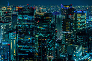 Night view of Tokyo, Japan, a cyberpunk city