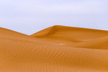 Fototapeta na wymiar Bend of the ridge of a sand dune in the desert
