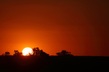 Sonnenuntergang Krüger Park Südafrika / Sundown Kruger Park South Africa /